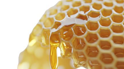 honey flowing honeycomb isolated on a transparent background, PNG image, PNG file, Generative art.