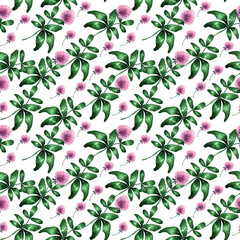 Watercolor seamless pattern with flowers and leaves of red clover