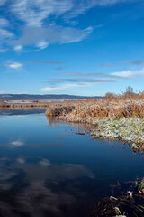 winter on the shore of a frozen lake on a sunny day