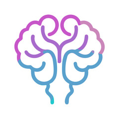  Brainstem Anatomy Vector Design