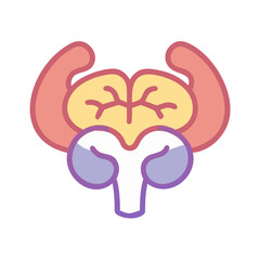  Brainstem Medical Anatomy Icon