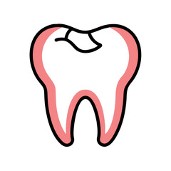  Dental Cavity Anatomy Vector