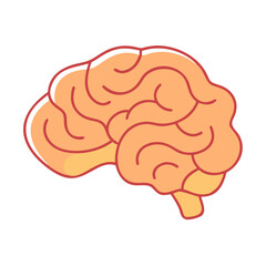  Detailed Cerebellum Anatomy