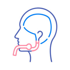  Laryngeal Mask Airway for Ventilation