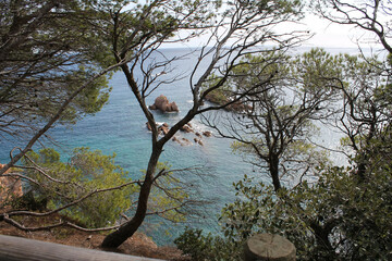 Landscape with the Mediterranean Sea, typical pine trees of the Costa Brava, the turquoise-blue sea water, and rocks and the sky in the background. Coast with beautiful rocks.