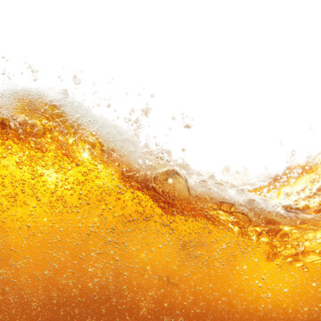 isolated transparent Background. splash of golden beer with soft foam bubbles creates refreshing and lively scene
