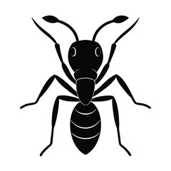 Fototapeta premium Ant Head with Mandibles in Side View