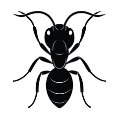 Hand-Drawn Ant Head with Mandibles Sketch