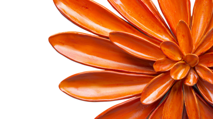 orange petals of a dahlia on a transparent background, PNG image, PNG file, Generative art.