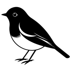 Animal Robin silhouette vector illustrator
