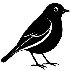 Animal Robin silhouette vector illustrator