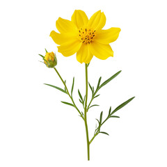 a yellow flower against a on a transparent background, PNG image, PNG file, Generative art.