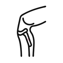 Patella Anatomy Icon Design