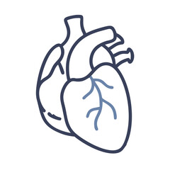  Pericardium Anatomy Icon Design