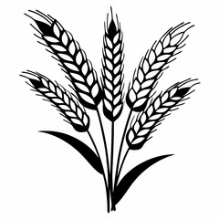 vector illustration of wheat ears