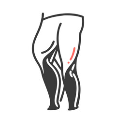  Quadriceps Anatomy Icon Design