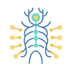  Somatic Nervous System Anatomy Icon