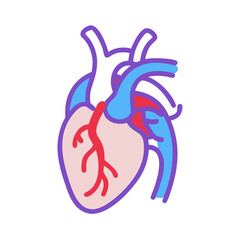  Superior Vena Cava Medical Anatomy Icon