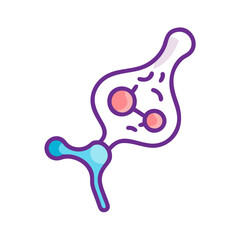  Detailed Synapse Anatomy