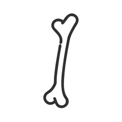  Ulna Anatomy Vector Design