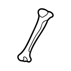  Detailed Ulna Anatomy