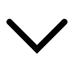 angle small down glyph  vector flat icon