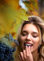 Woman close-up tasting grapes in a vineyard, in Stuttgart, Germany