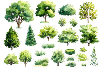 Fototapeta premium Watercolor Green Trees and Bushes Collection, Isolated on Transparent Background, Landscape Design Elements, Plants, Watercolor, Nature
