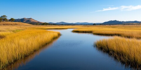 World environment day with conservation and action idea. Serene wetland scene with golden grasses and calm water.