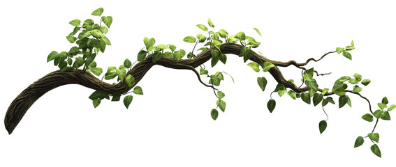 Curving Vine Branch with Lush Green Leaves, Isolated on Transparent Background, Digital Painting, Nature Clipart, Vine, Branch, Leaves