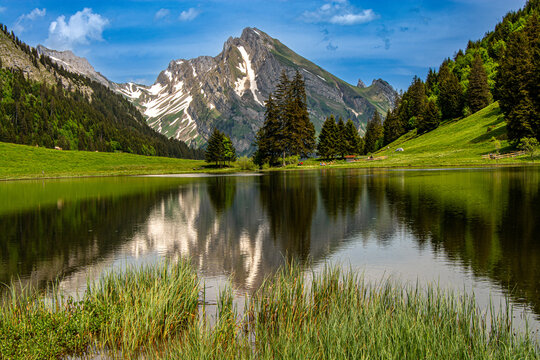 Gr&auml;ppelensee near Unterwasser in the municipality of Wildhaus-Alt St. Johann and offers this wonderful view of the Schafberg, which is part of the Alpstein massif in the canton of St. Gallen in Swiss