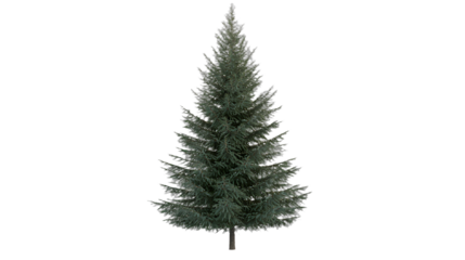 a single green artificial christmas tree on a transparent background, PNG image, PNG file, Generative art.