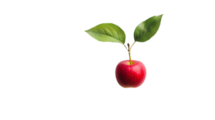 a single red apple with a green leaf hanging from a stem on a transparent background, PNG image, PNG file, Generative art.
