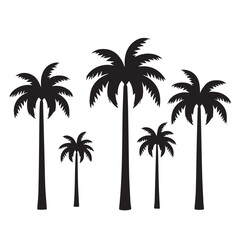palm tree silhouette