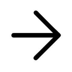 arrow small right  vector flat icon