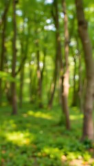 Obraz premium Soft, dreamy green bokeh, blurred forest background, forest green, lime green