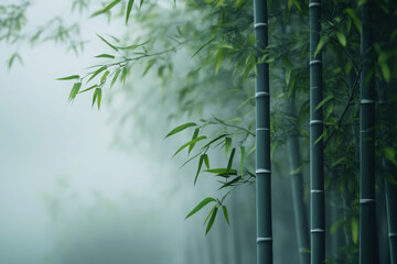 A serene bamboo grove shrouded in mist with soft light and swaying leaves offering a tranquil, ethereal escape into nature's peaceful embrace