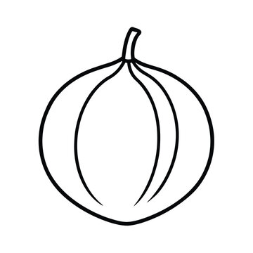 seriguela fruit line art vector illustration
