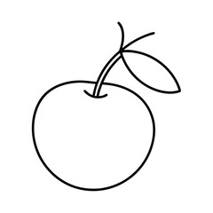 sand cherry fruit line art vector illustration