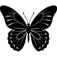 butterfly silhouette vector illustration