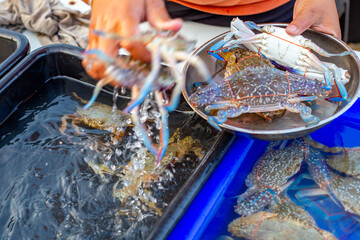 Seafood for sale at a fisherman's market in Asia. A woman places crabs in a bowl for weighing.
