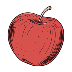 Vector illustration of a red apple