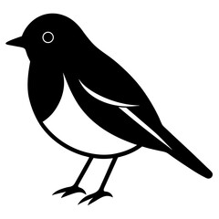 Animal Robin silhouette vector illustrator