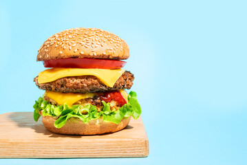 Double cheeseburger on blue background
