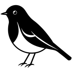 Animal Robin silhouette vector illustrator