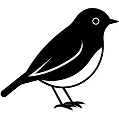 Animal Robin silhouette vector illustrator