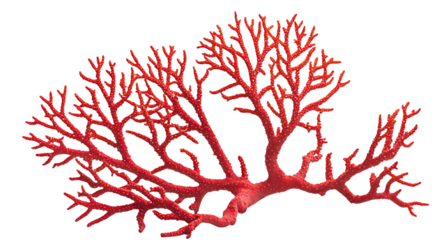 a coral reef in the deep ocean with a red glow on a transparent background, PNG image, PNG file, Generative art.