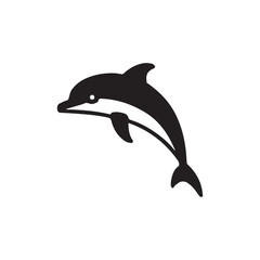 dolphin isolated on white