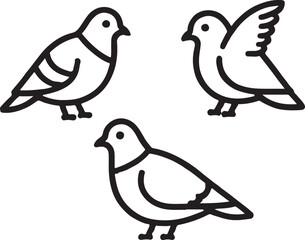 vector illustration of a bird