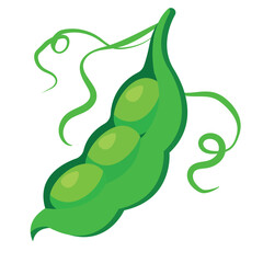 Fresh green pea pod with tendrils Ideal for organic food labels, agriculture themes, plant-based nutrition, gardening concepts and healthy lifestyle design